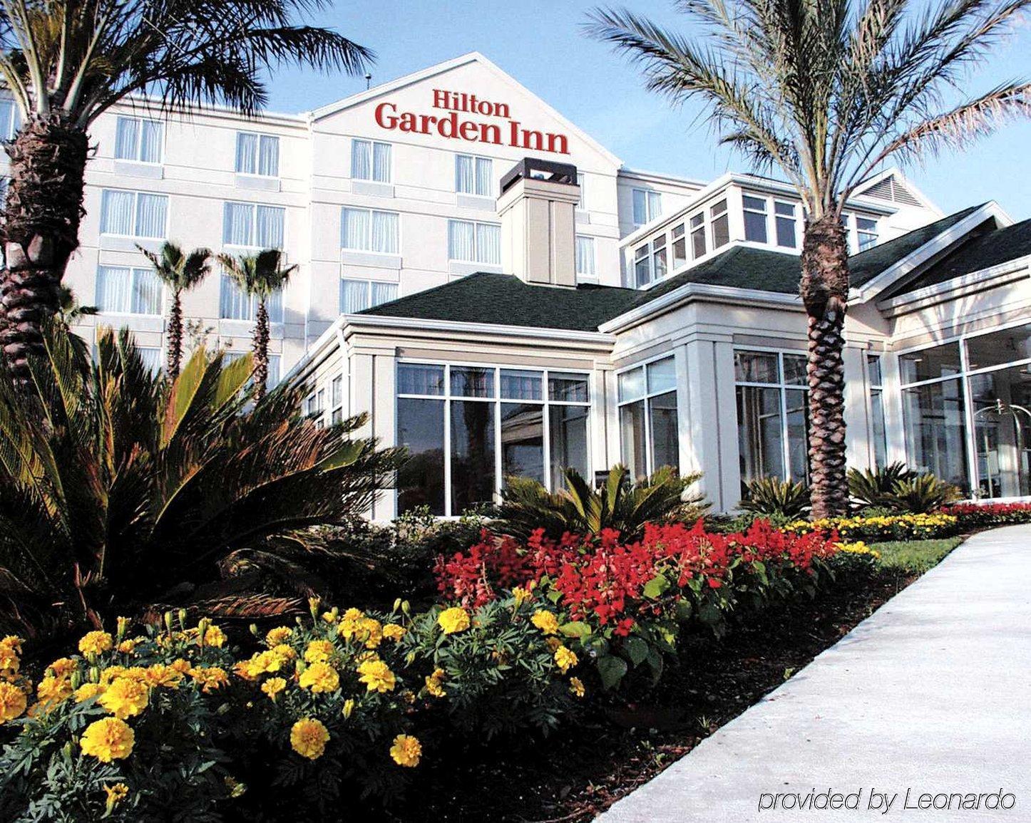 Hilton Garden Inn Нью Браунфелс Экстерьер фото